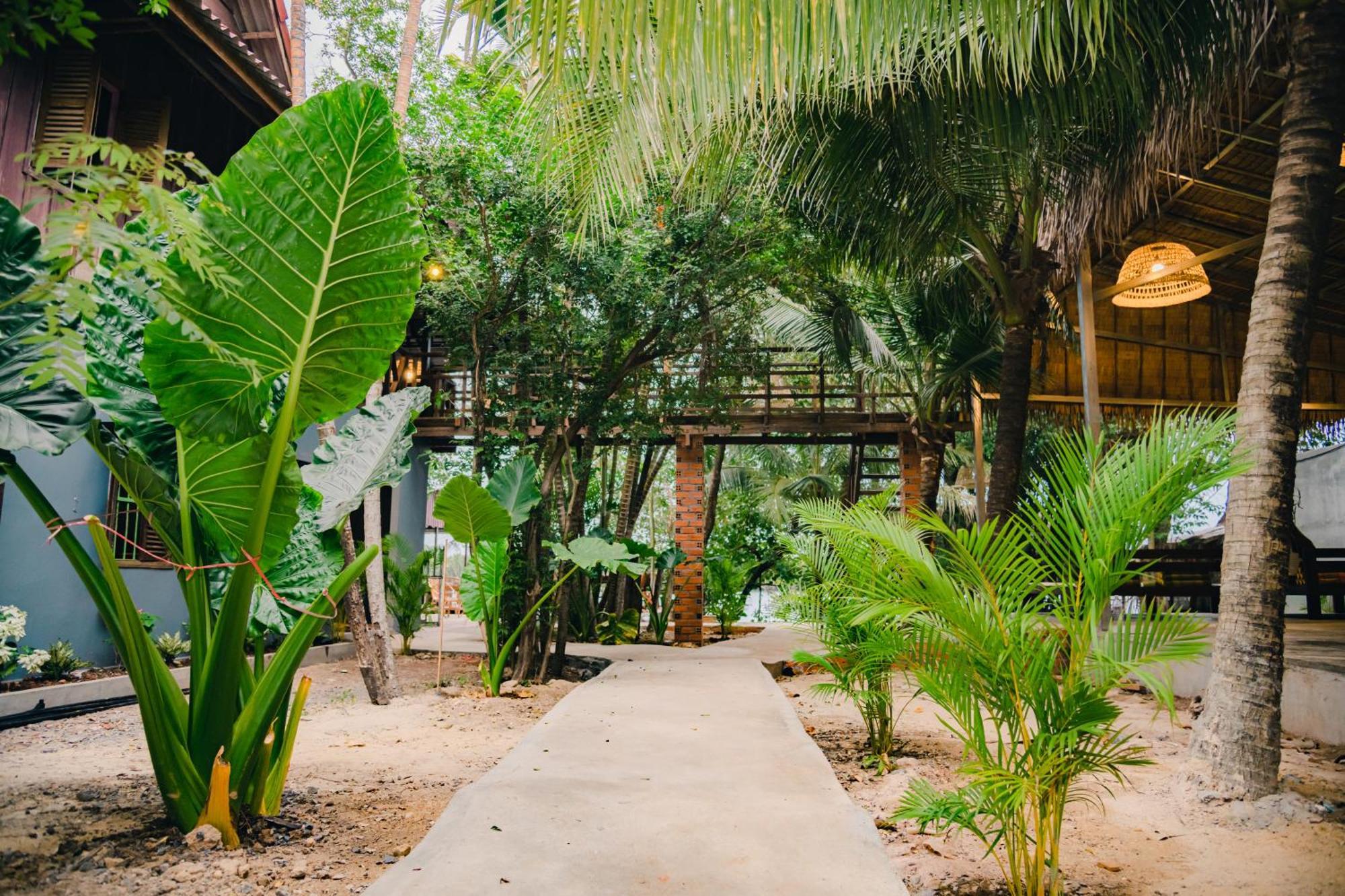 Banyan Tree Hostel Кампот Екстер'єр фото