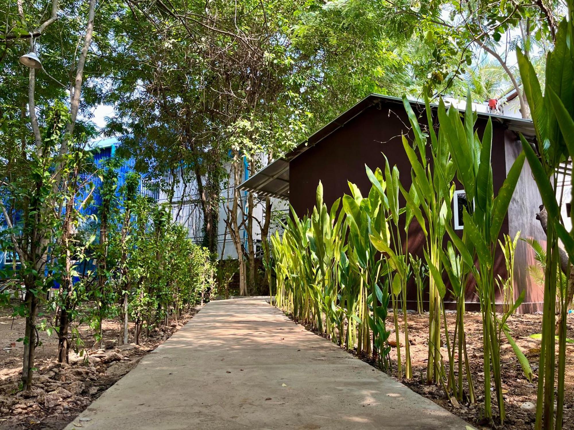 Banyan Tree Hostel Кампот Екстер'єр фото