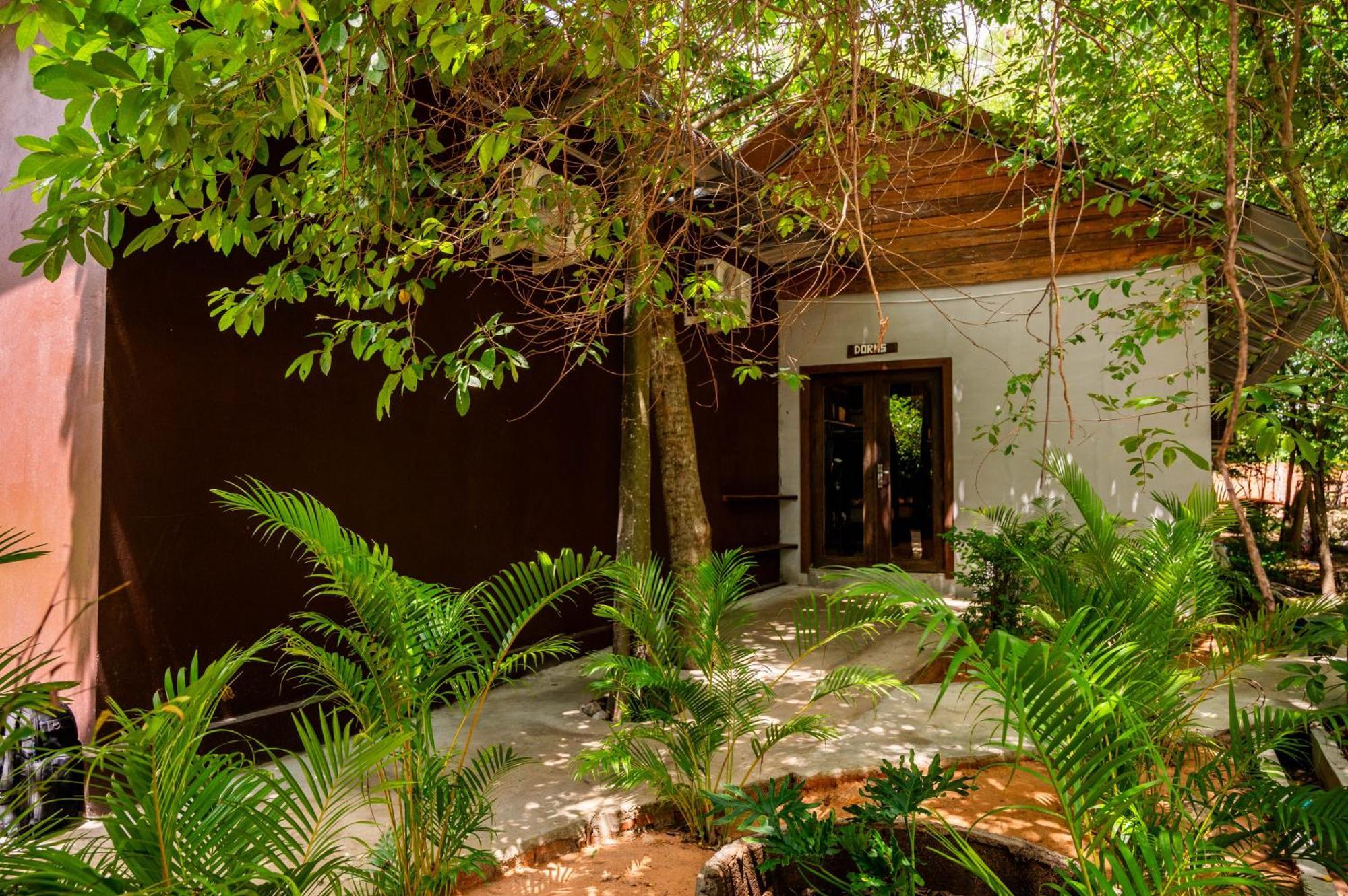Banyan Tree Hostel Кампот Екстер'єр фото