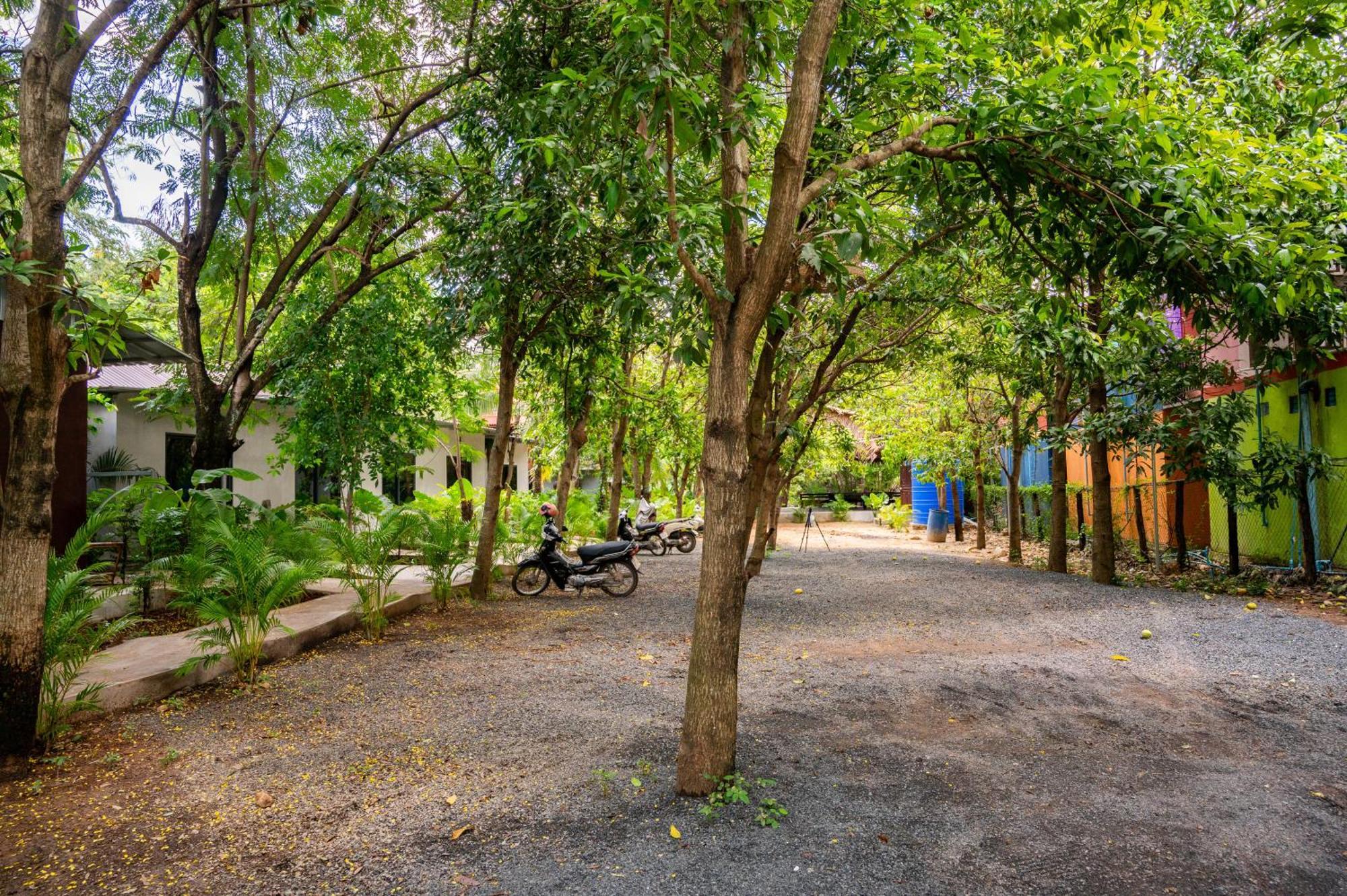Banyan Tree Hostel Кампот Екстер'єр фото